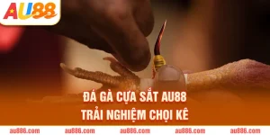 Đá Gà Cựa Sắt AU88 Trải Nghiệm Chọi Kê Kịch