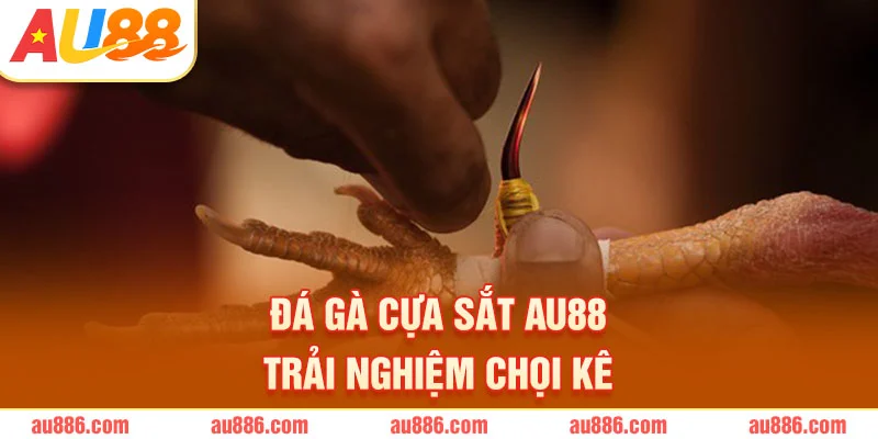 Đá Gà Cựa Sắt AU88 – Trải Nghiệm Chọi Kê Kịch